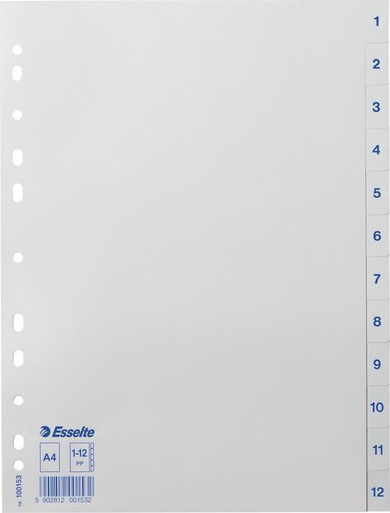 Leitz Esselte Kunststoff-Register, Zahlen, A4, 1-12, weiss Universallochung, Masse: (B)225 x (T)2 x (H)297
