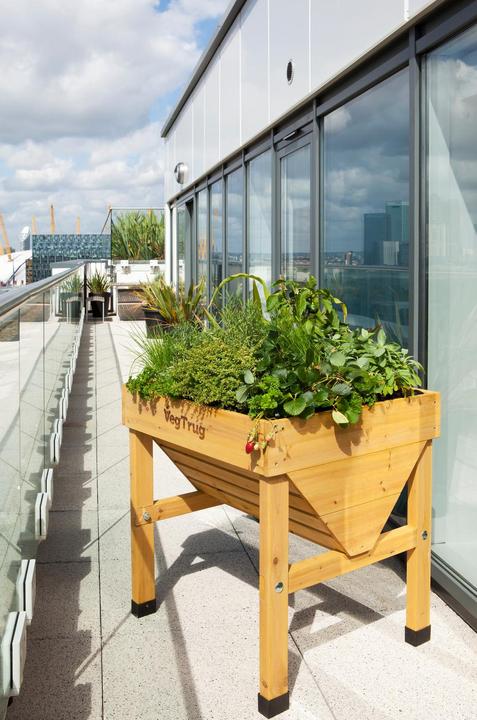 Image du produit VegTrug Bac à fleurs