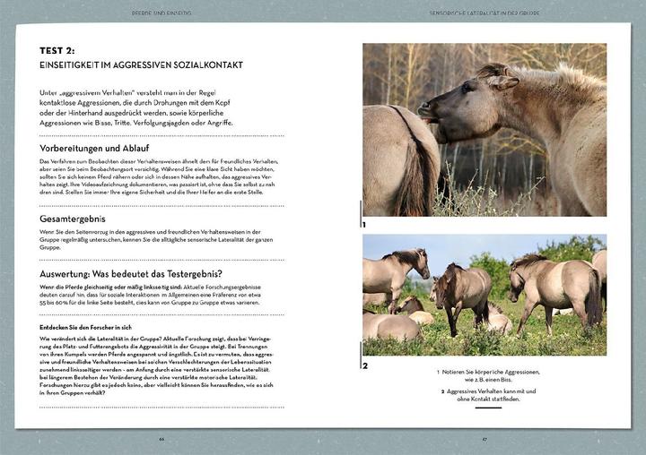 Immagine prodotto Kosmos Lateralität bei Pferden (Tedesco, Isabell Marr, Konstanze Krüger, Agricoltore, Kate, 2024)