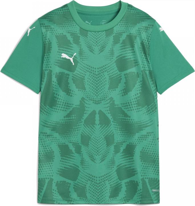 Image du produit Puma teamULTIMATE Jersey Jr (128)