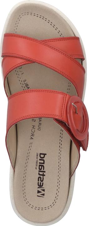 Immagine prodotto Westland 25409-409 (40)