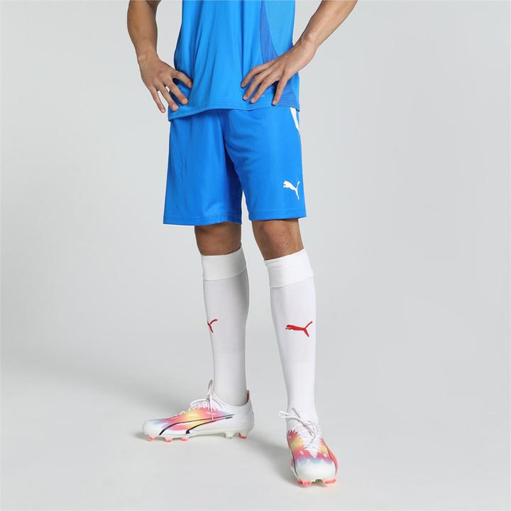 Actual product image Puma teamLIGA Shorts-704924 (L)