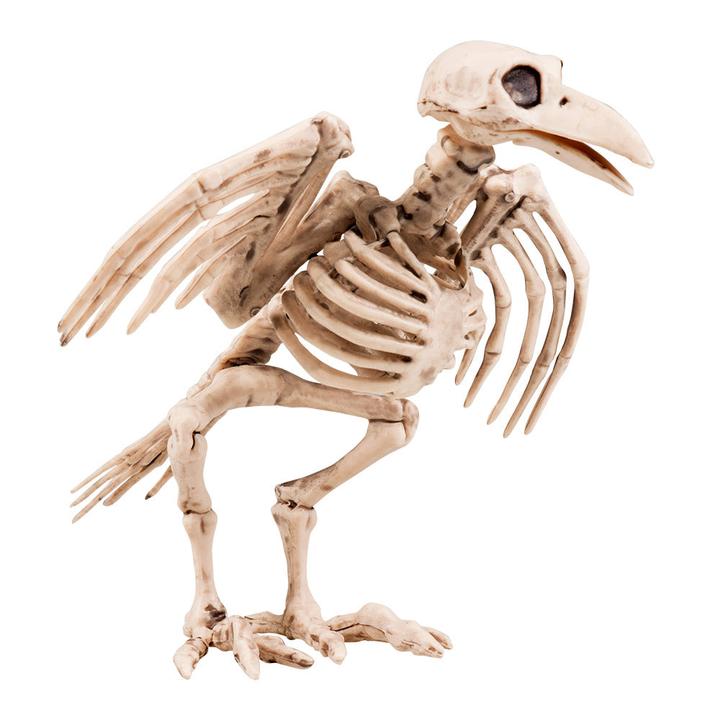 Produktbild Boland 10104768 BOL72094 Skeleton Bird Decoration, White