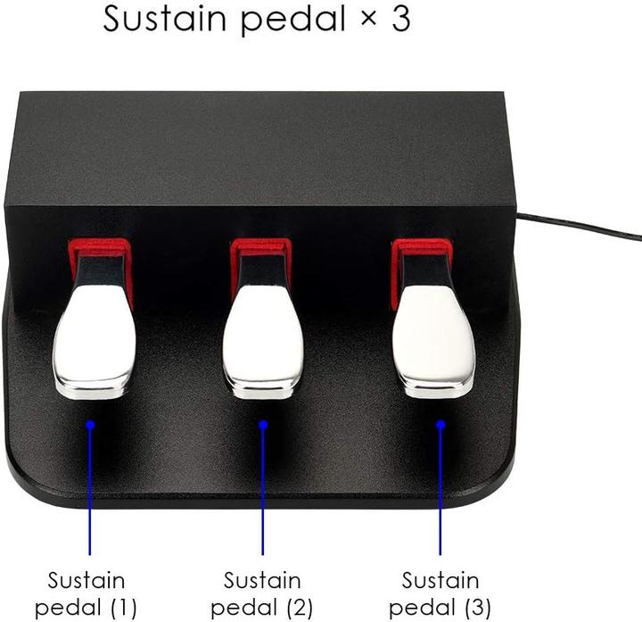 Image du produit AtNeDcVh Pédale de sustain Piano 3 (Clavier)