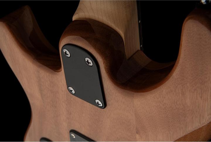 Produktbild PRS SE CE 24 (E-Gitarre, Mahagoni, Palisander, Ahorn)