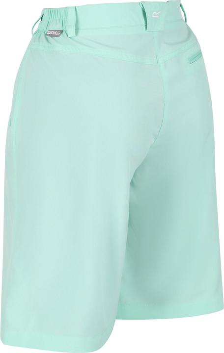 Actual product image Regatta Womens/Ladies Xert Stretch Shorts (34)