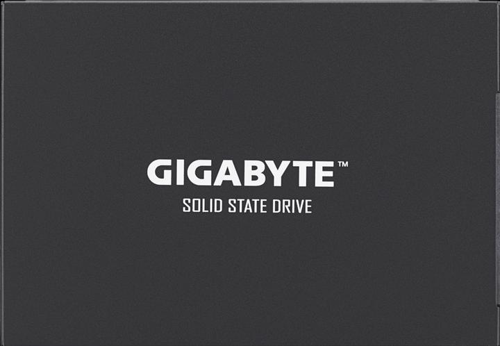Produktbild Gigabyte GP-GSTFS30256GTTD (256 GB, 2.5")