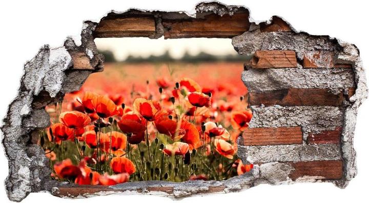 Actual product image Trenddeko 3D Poppy Field (40 x 21 cm)