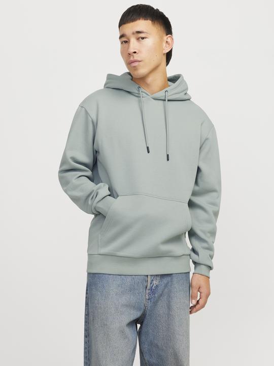 Actual product image Jack & Jones Jjebradley Sweat Hood Noos (XXL)