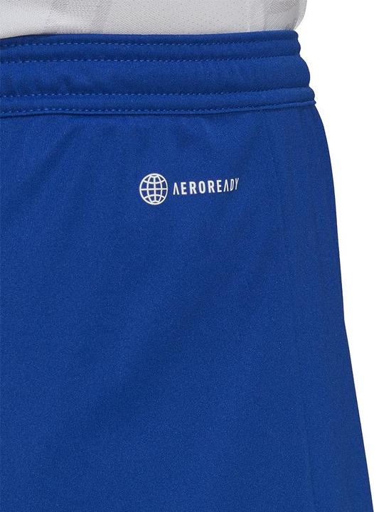 Actual product image adidas Entrada 22 Shorts Men (L)