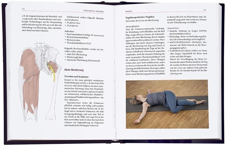 Actual product image Yoga-Therapie in der Praxis (German, Daniel, Bitta/Shepherd, Boerger, Judith (Dr.med.)/Helbig, 2023)