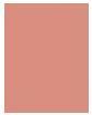 Immagine prodotto Clarins Joli Blush - Cheeky Coral 06 (N. 06 - Corallo sfacciato)