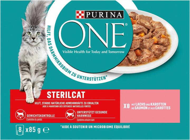 Actual product image Purina ONE Sterilcat (Adult, 1 pcs., 800 g)