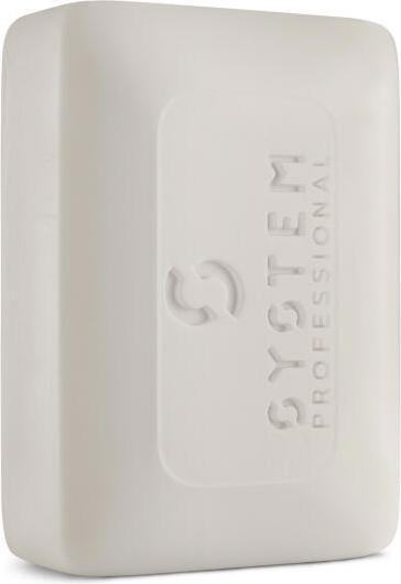 System Professional Man - Solid Shampoo (100 ml, Festes Shampoo)