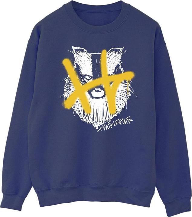 Produktbild Hufflepuff Pop Spray Sweatshirt (XL)