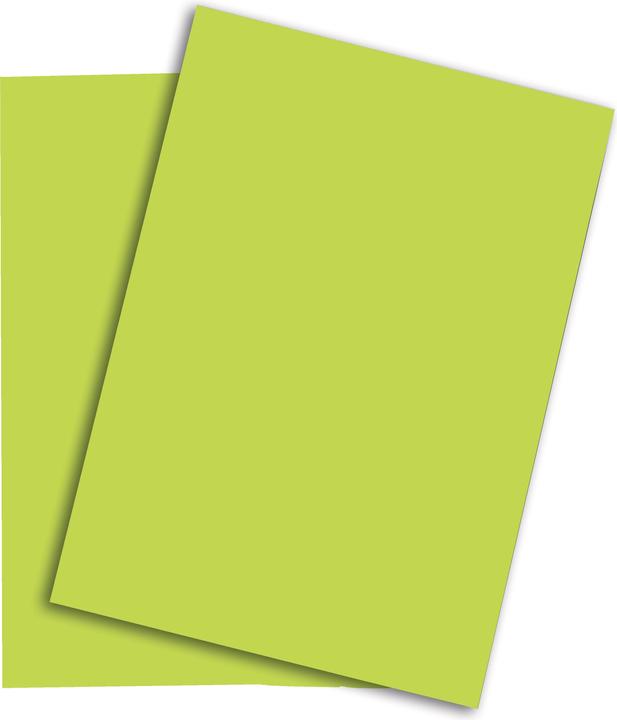 Immagine prodotto Rainbow Carta per fotocopie (80 g/m², 500 x, A4)