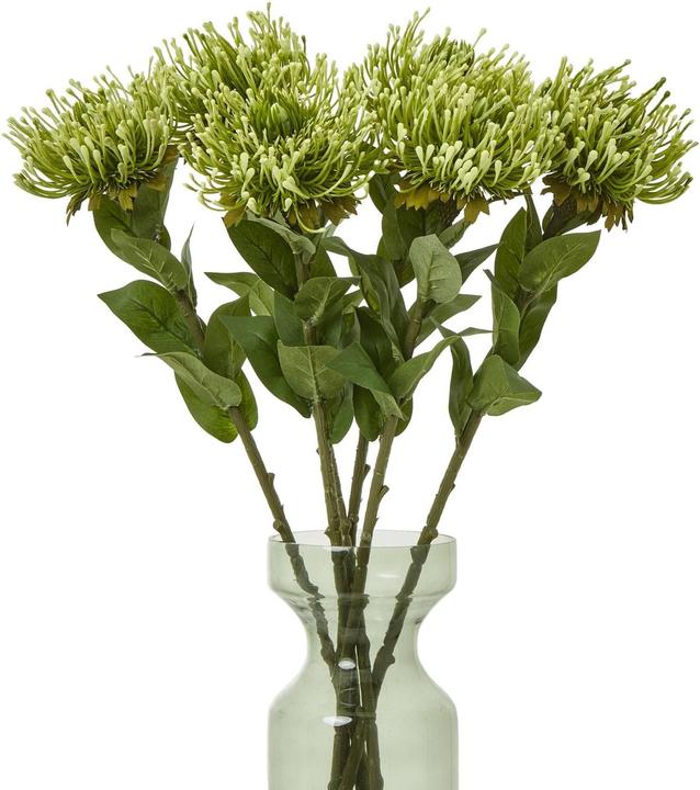 Image du produit Hill Interiors Plante artificielle Protea Lorea Stem (73 cm)