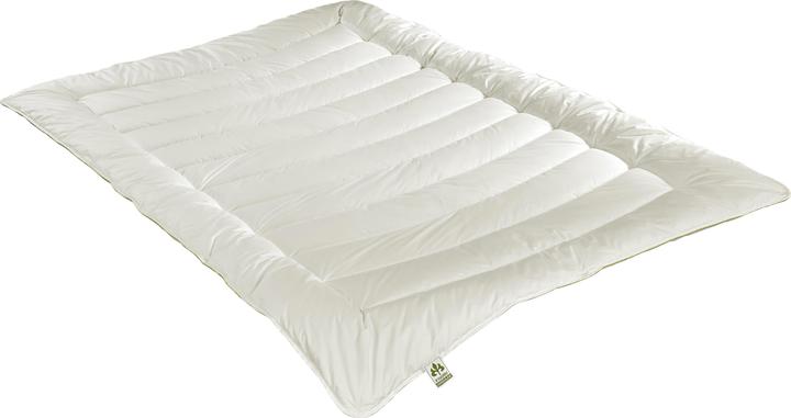 Produktbild Irisette Greenline Greenline Aerelle Blue 4-Jahreszeiten (1100 g, 135x200 cm)