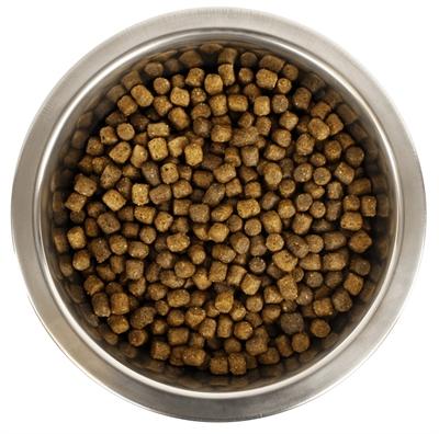 Immagine prodotto Yourdog Dwerg- Di Toypoedel Pup (Junior, 3050 g)