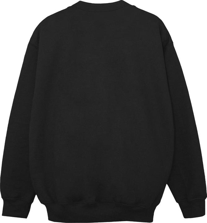 Image du produit Disney - Sweat FROZEN ELSA AND ANNA SISTERS - Garçon (128)