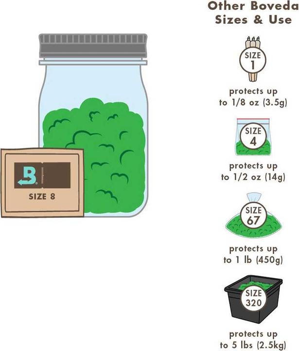 Actual product image Boveda Humidipak 4g