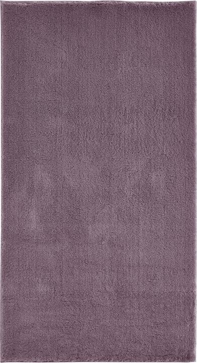 Lavendel