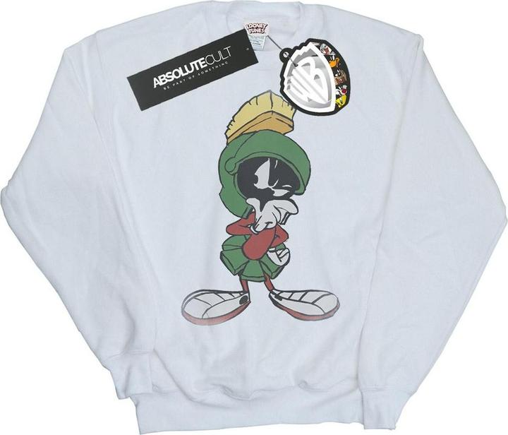 Looney Tunes Sweatshirt (L)