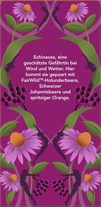 Immagine prodotto Pukka Sambuco & Echinacea (40 g)