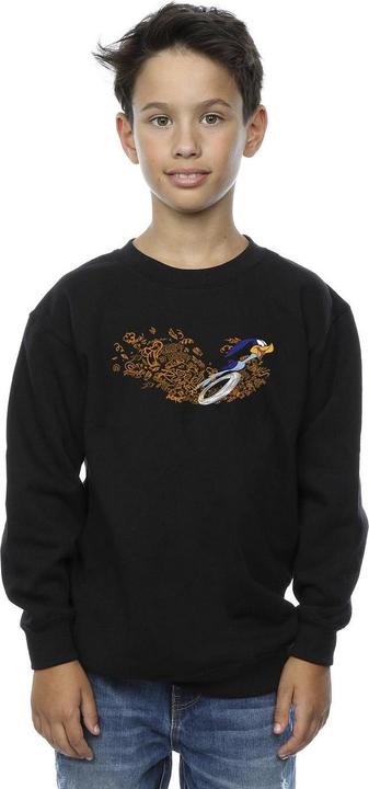 Actual product image Looney Tunes Boys ACME Doodles Road Runner Sweatshirt (140, 146)