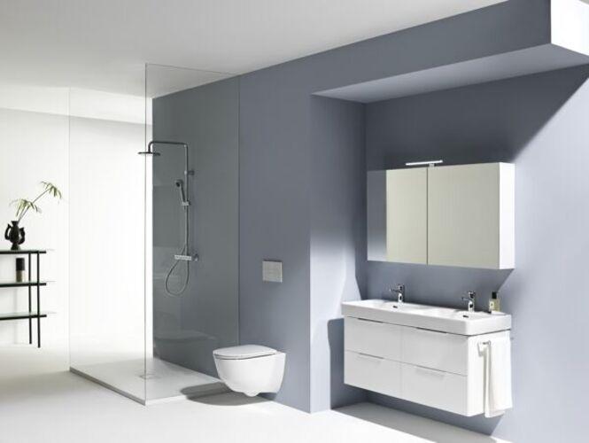 Actual product image Laufen Pro
