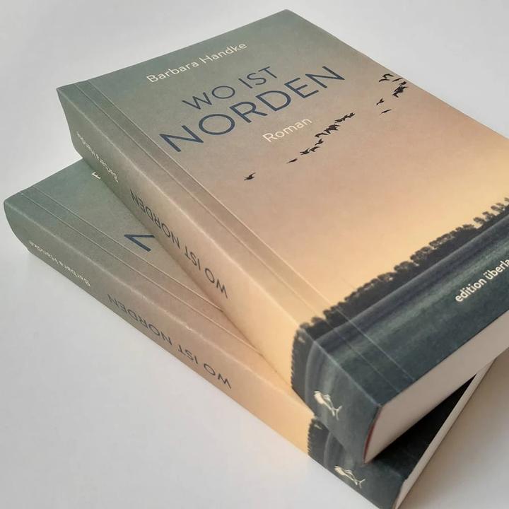 Immagine prodotto Wo ist Norden (Tedesco, Barbara Handke, 2020)