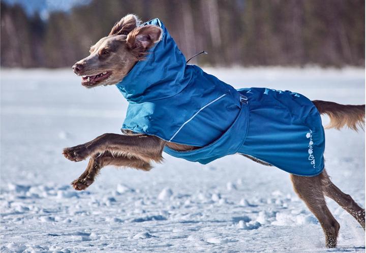 Immagine prodotto Hurtta Extreme Warmer V3 Eco Blue, 55 cm (55, Cappotto per cani)