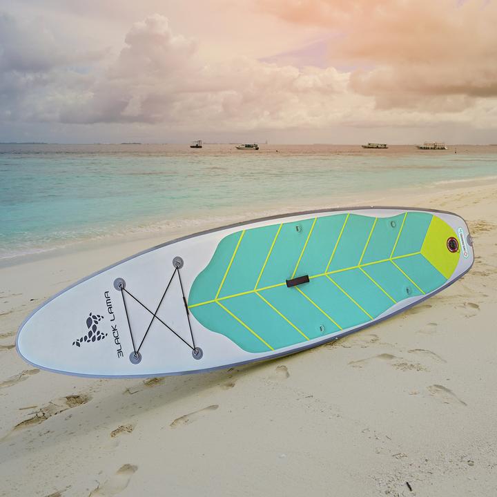 Image du produit Mint Lama Black Lama Origin (10'10")