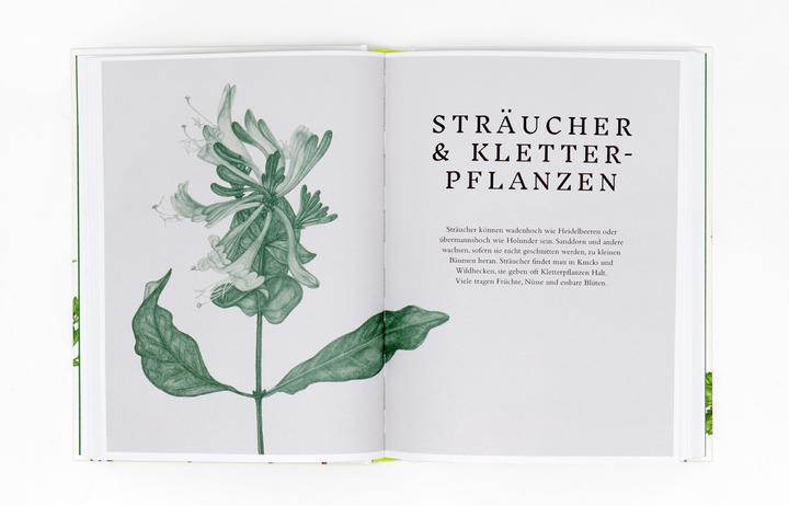 Actual product image Essbare Wildpflanzen (German, Liz Knight, Wiebke crab, Rachel Pedder-Smith, 2021)