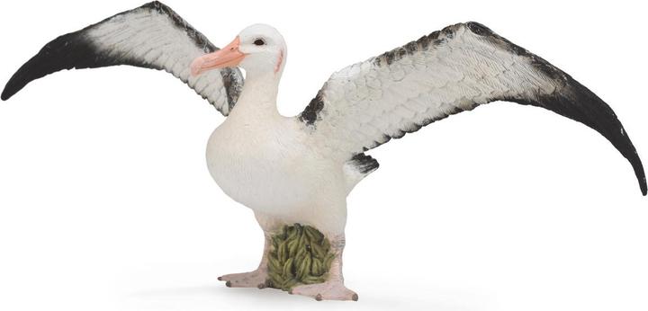 Produktbild Collecta Wanderalbatros-Figur