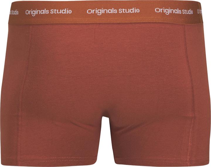 Actual product image Jack & Jones Plus Size Shorts Shorts (3XL, pack of 3)