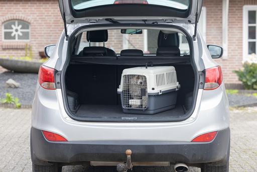 Actual product image Karlie Nomad (Dog, Cat, Lockable)