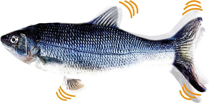 Actual product image MediaShop Flippity Fish (Catmint toy)