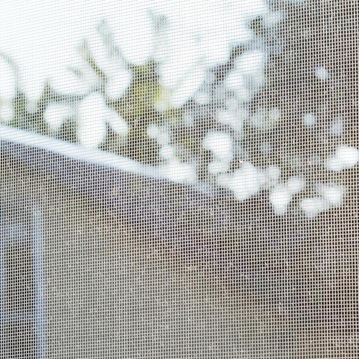Produktbild Siena Garden Fliegengitter 1,5 m x 1,8 m weiss für Fenster mit Klettband