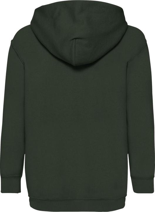 Image du produit Fruit of the Loom Sweats à capuche plus anciens Classique 8020 (164)