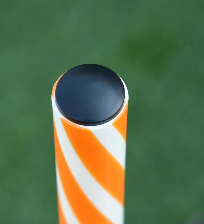 Produktbild PawHut Hunde Agility Set mit Slalomstangen