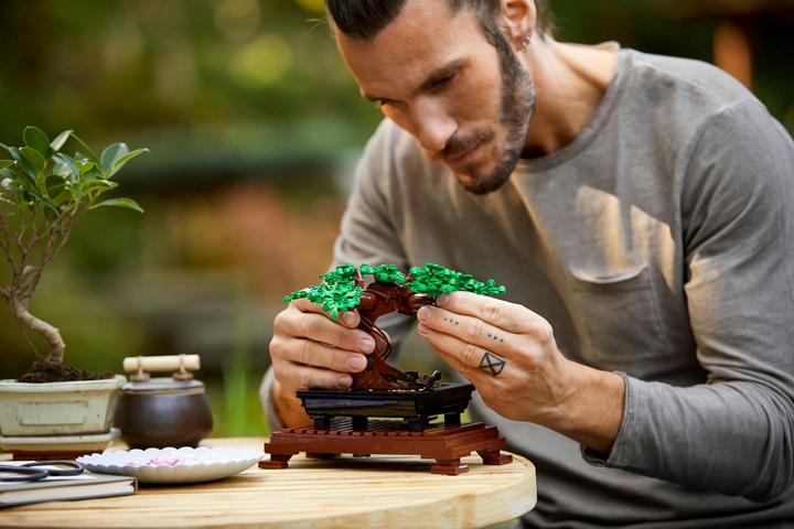 Image du produit LEGO Bonsaï (10281, LEGO Botanical, LEGO Icons)