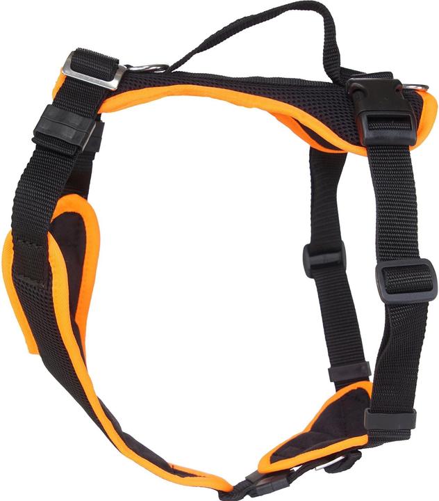Immagine prodotto Grossenbacher Imbracatura per cuccioli Puppy FunRun Vario (M, Cane, Passeggiare)