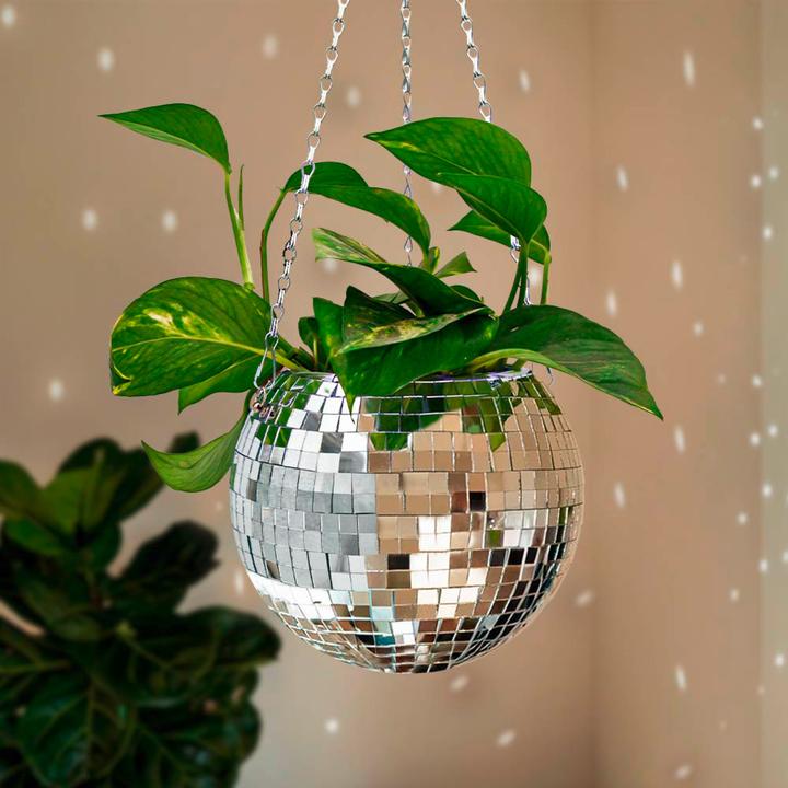 Image du produit Mikamax Funky Disco Planter