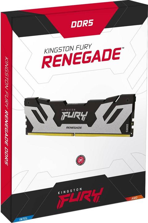 Immagine prodotto Kingston 16GB 7600MT/s DDR5 CL38 DIMM FURY Renegade Silver XMP (1 x 16GB, 7600 MHz, RAM DDR5, DIMM)