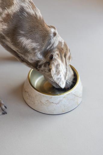 Immagine prodotto Designed by Lotte Ciotola per cani Meis (0.70 l)