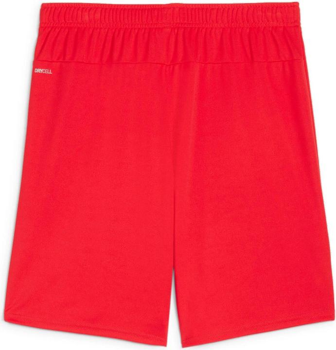 Image du produit Puma teamGOAL Short (L)