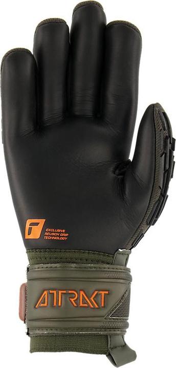 Produktbild Reusch Attrakt Freegel Silver Torwarthandschuhe Grün 5370035 5555 (10) (10)