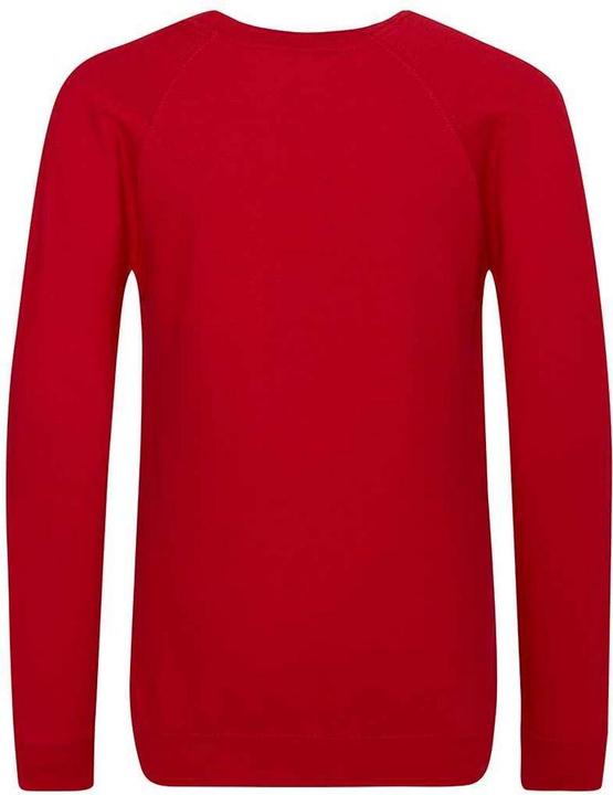 Actual product image Awdis Childrens/Kids Academy Raglan Sweatshirt (104)