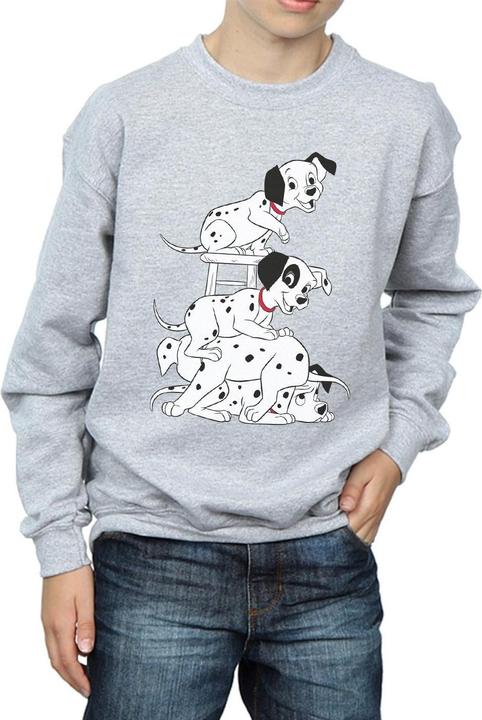 Actual product image 101 Dalmatians Sweatshirt boys (140, 146)